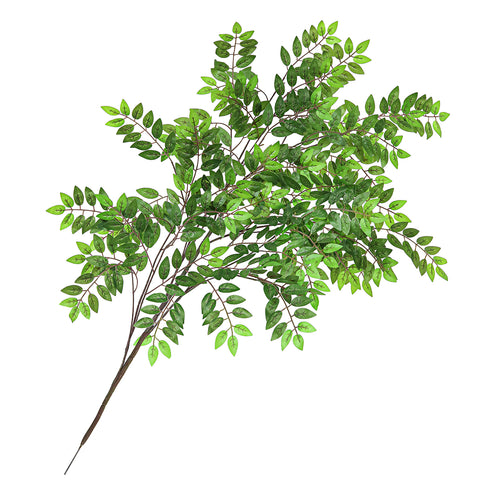 Leaf Stems & Branches